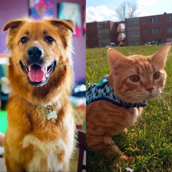 Meet your Posher, Maraya - Picture 2 of 2